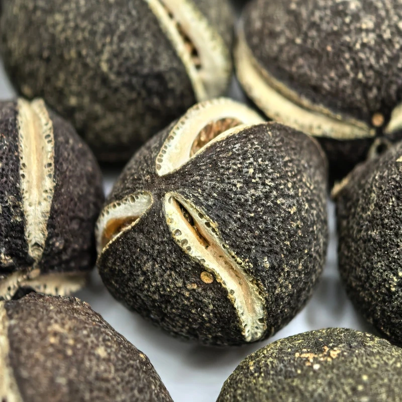 东10陈化 三花青果 陈皮  到手一斤 罐装