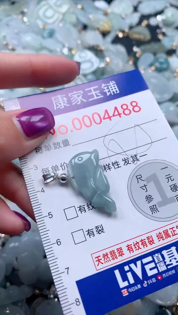 颈饰未镶嵌翡翠4488