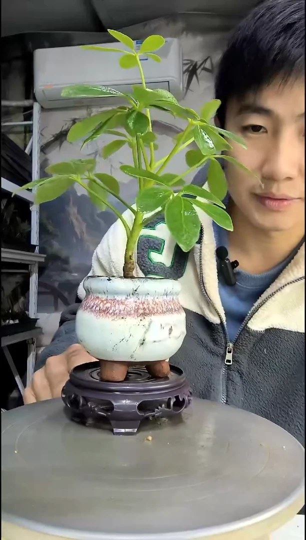 卓中青园艺一物一拍60