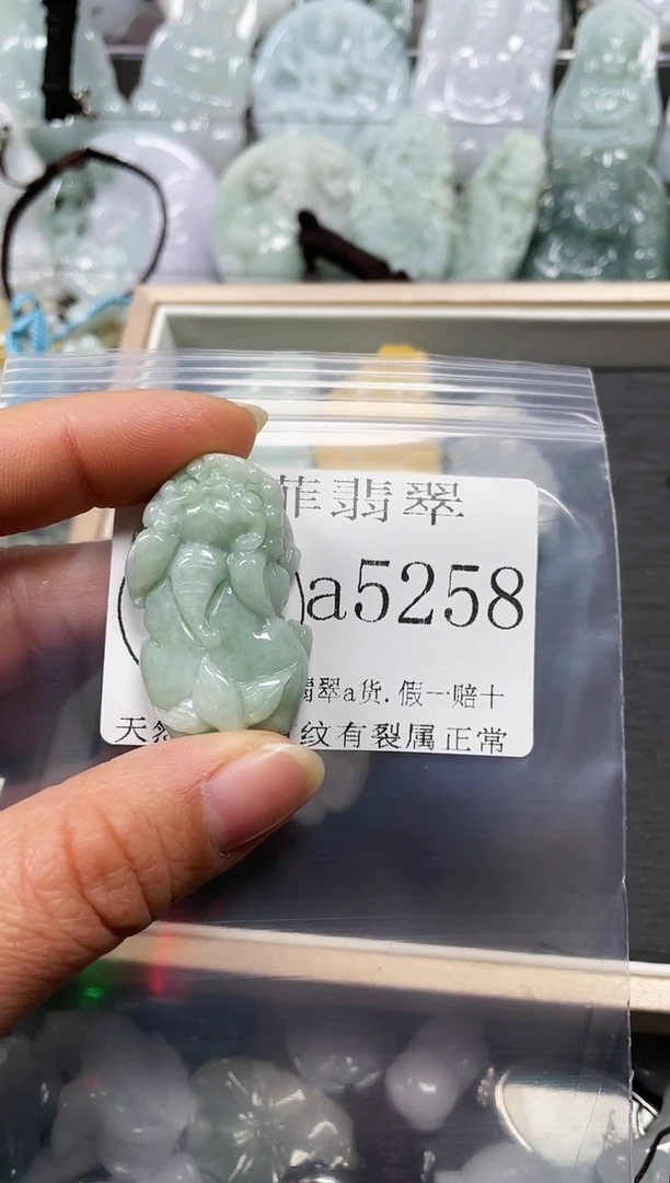 【闪购商品】翡翠颈饰未镶嵌闪购5258
