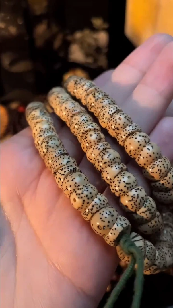 手串星月菩提精工级陈籽圆形大肠10*7长串（B）