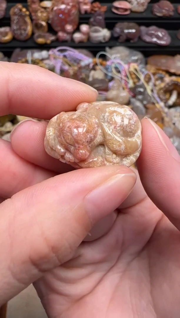 颈饰未镶嵌硅化珊瑚（珊瑚玉）516