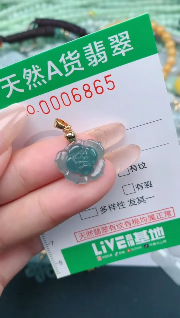 翡翠未镶嵌颈饰.0006865