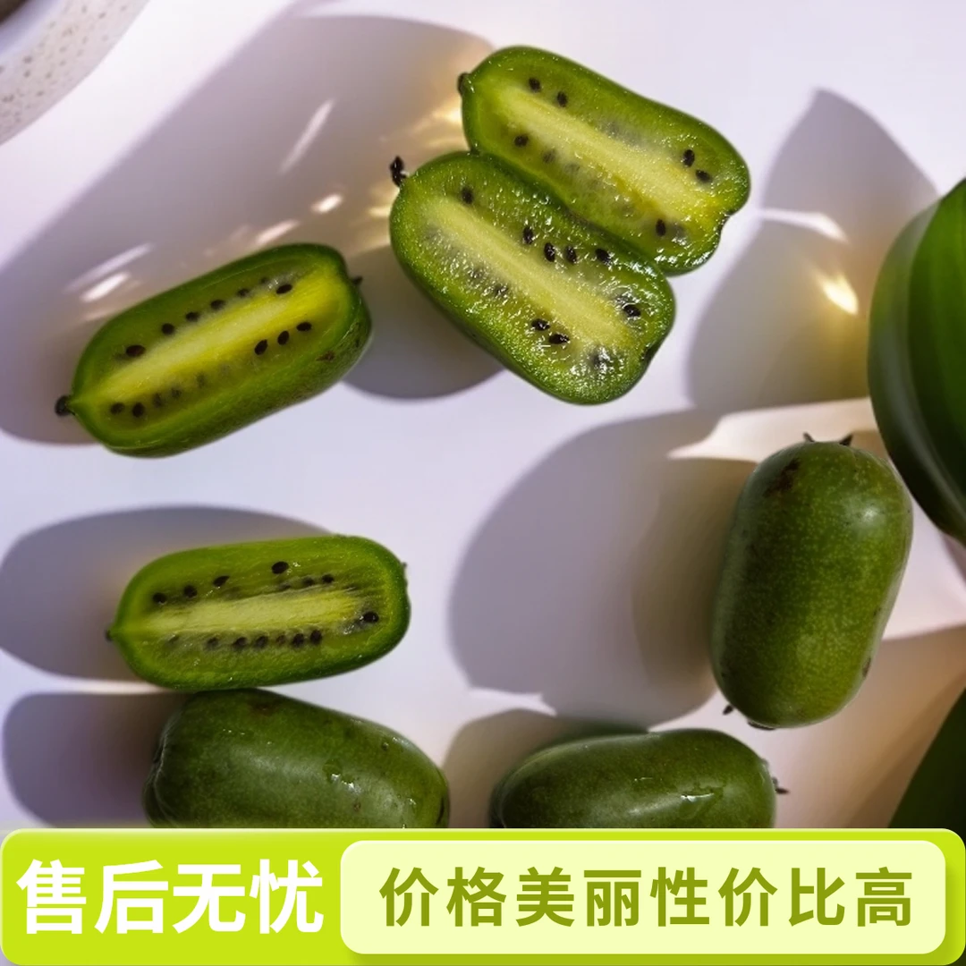 包邮山东软枣猕猴桃奇异莓新鲜水果软糯香甜放软食用