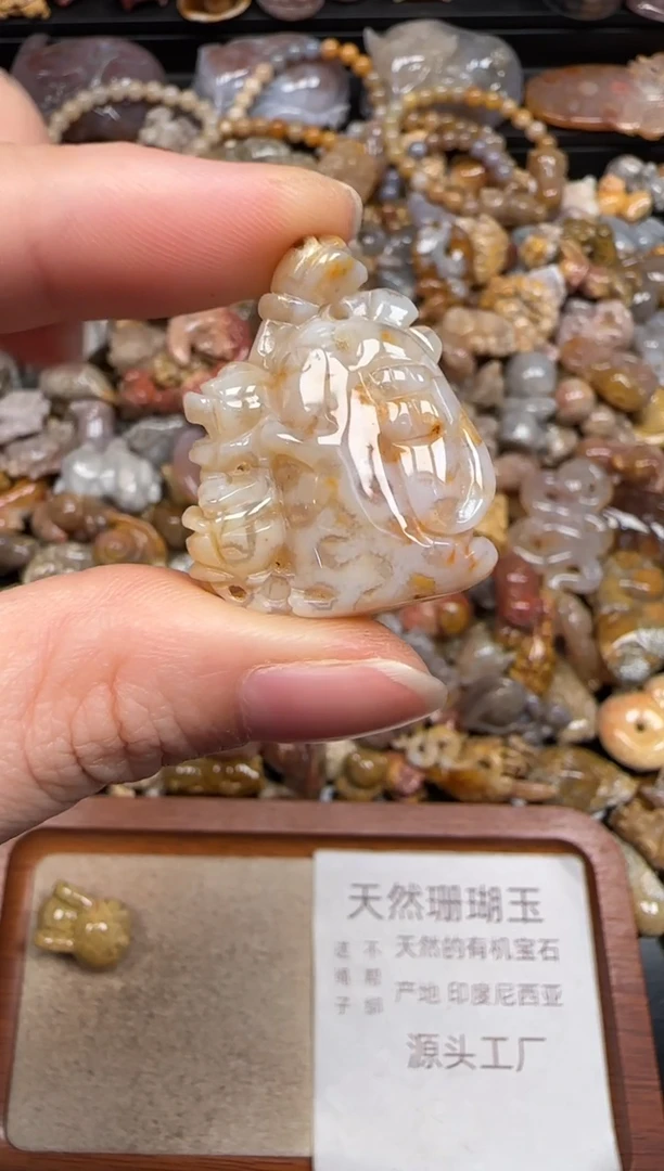 硅化珊瑚（珊瑚玉）未镶嵌颈饰759
