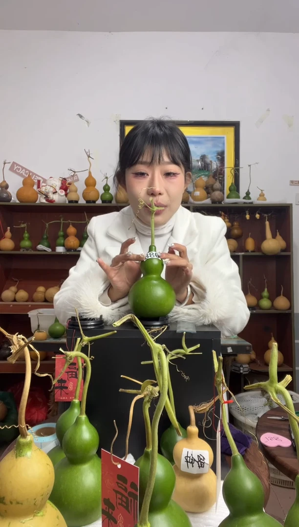 088天然葫芦摆件 一物一拍龙头不保售后