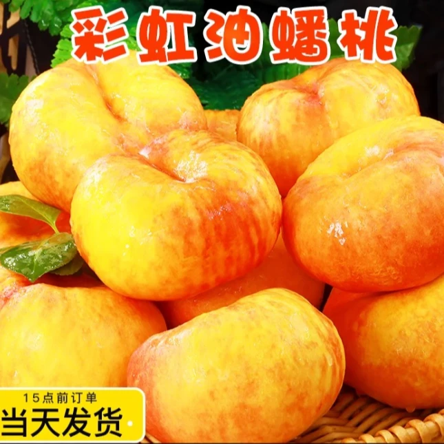 【今拍明到】蒙阴彩虹油蟠水果油蟠桃蜜甜口感多汁爆甜当季新鲜水果桃子桃子同城送山东省