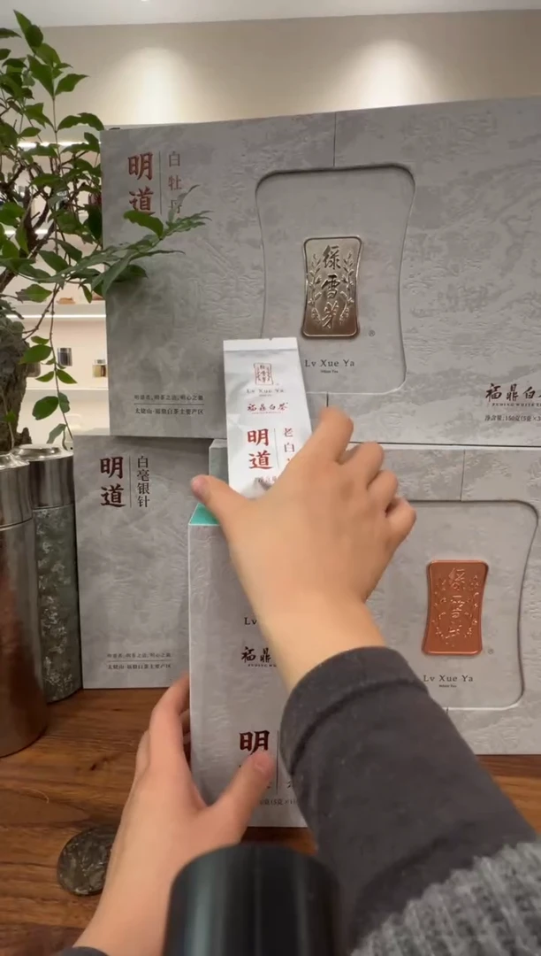 秋明道老白茶绿雪芽