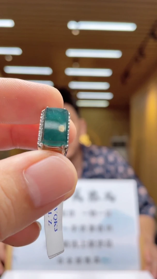 翡翠未镶嵌颈饰********502