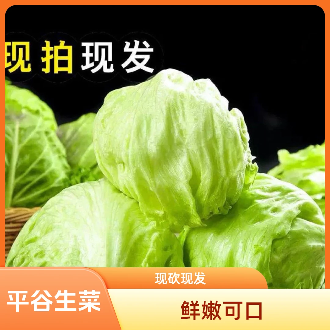 【2颗圆生菜】北京平谷 现砍现发【好东西】