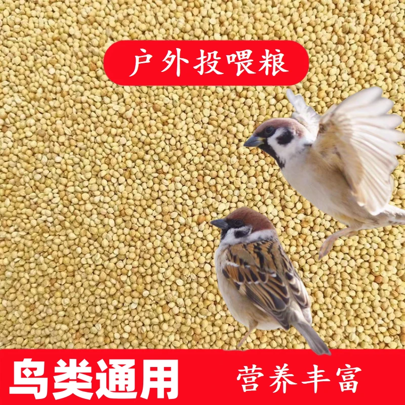 投放粮鸟食小型鸟粮野外鸟食鸟食麻雀斑鸠户外投喂专用粮草籽小米