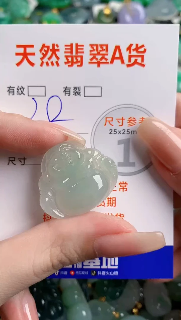 翡翠未镶嵌颈饰24000924