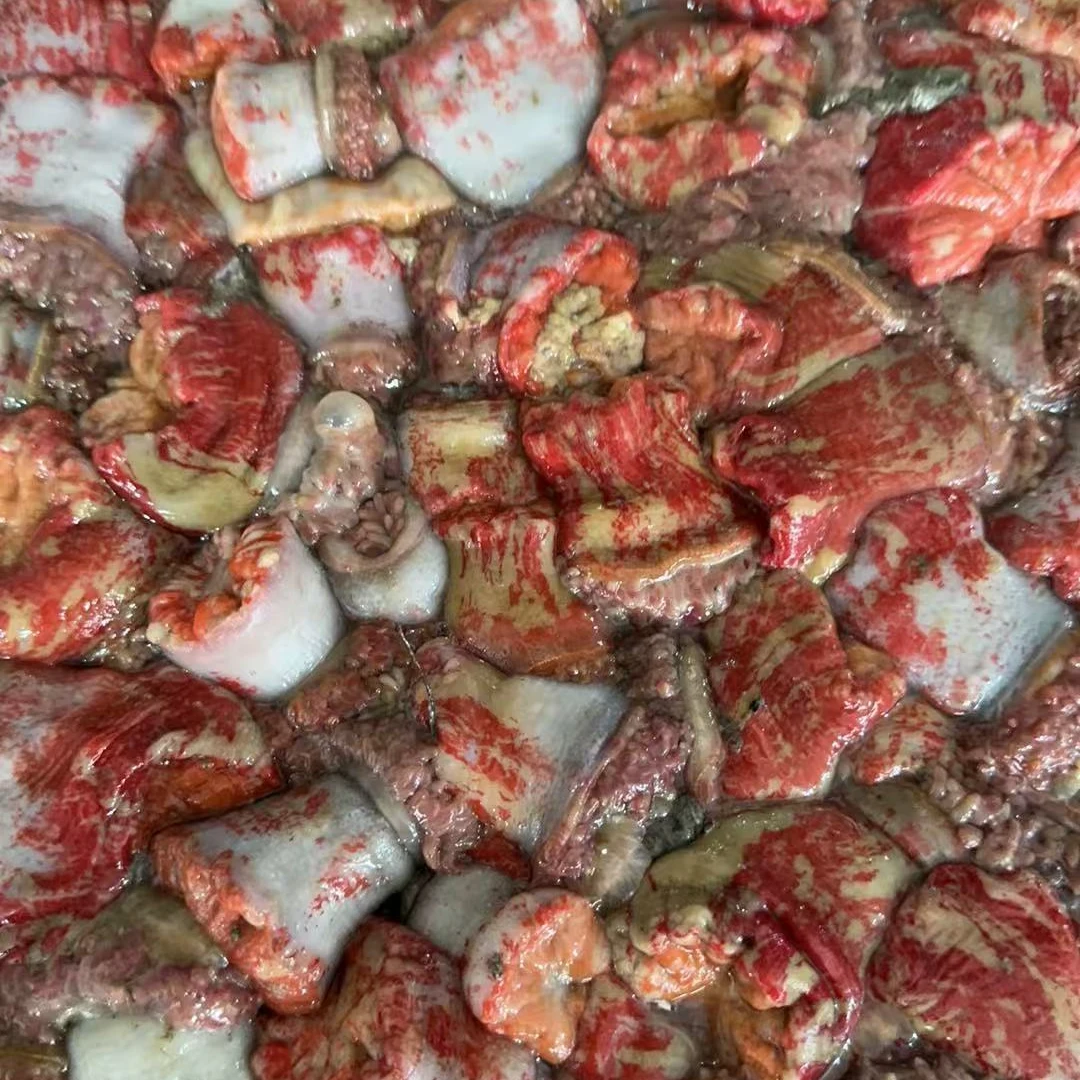 新鲜海葵 鲜海葵