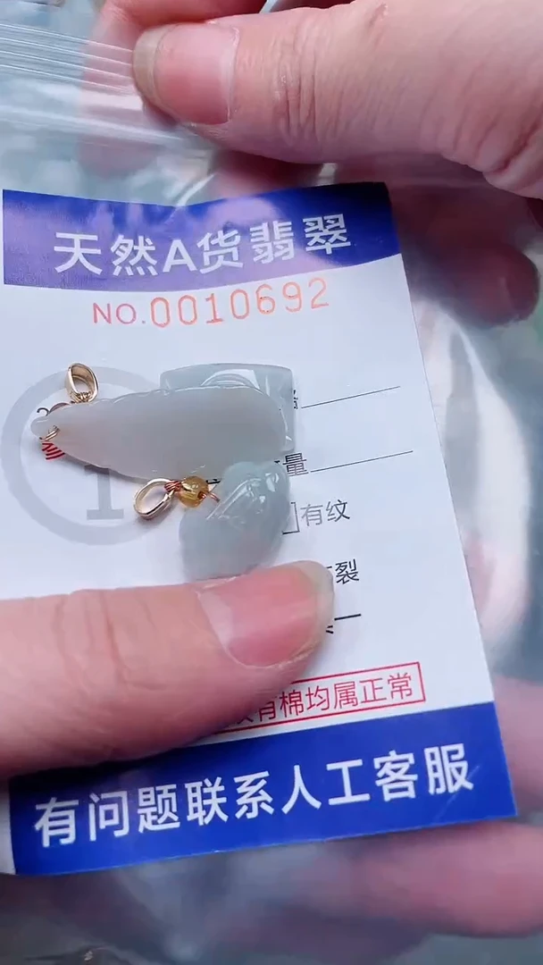 翡翠未镶嵌吊坠(赠链)1