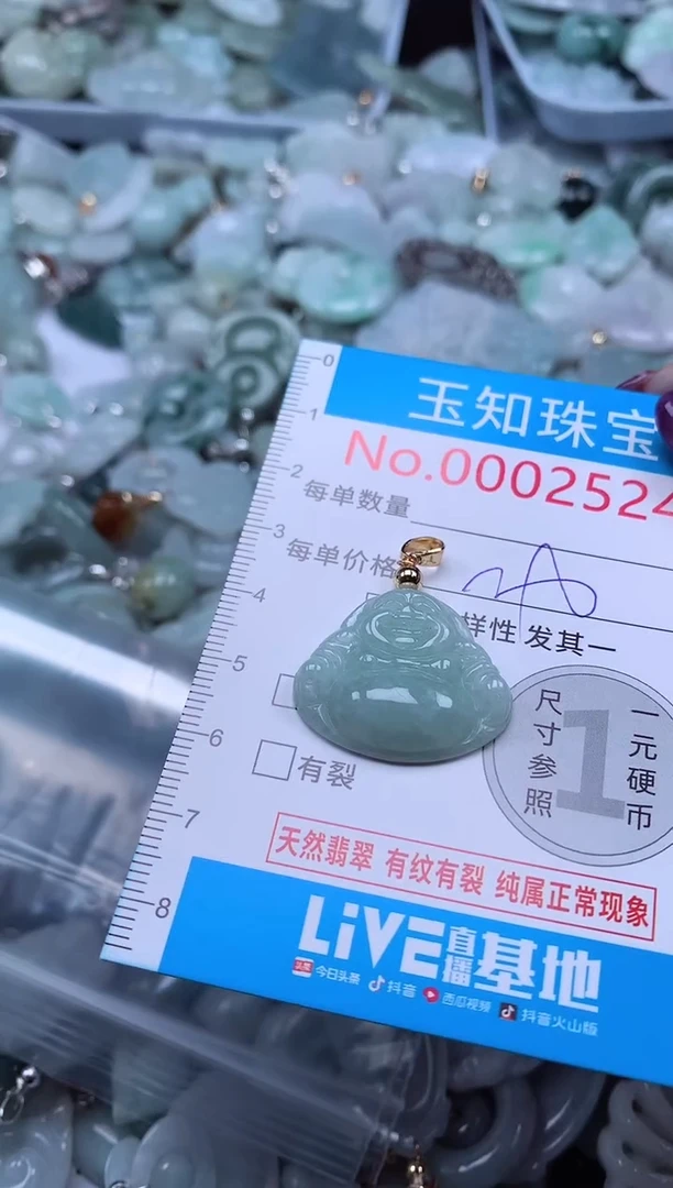 翡翠未镶嵌吊坠(不含链)2524