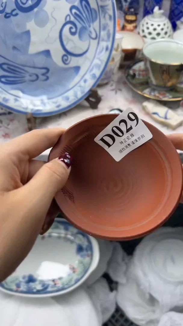 瓷片          D029