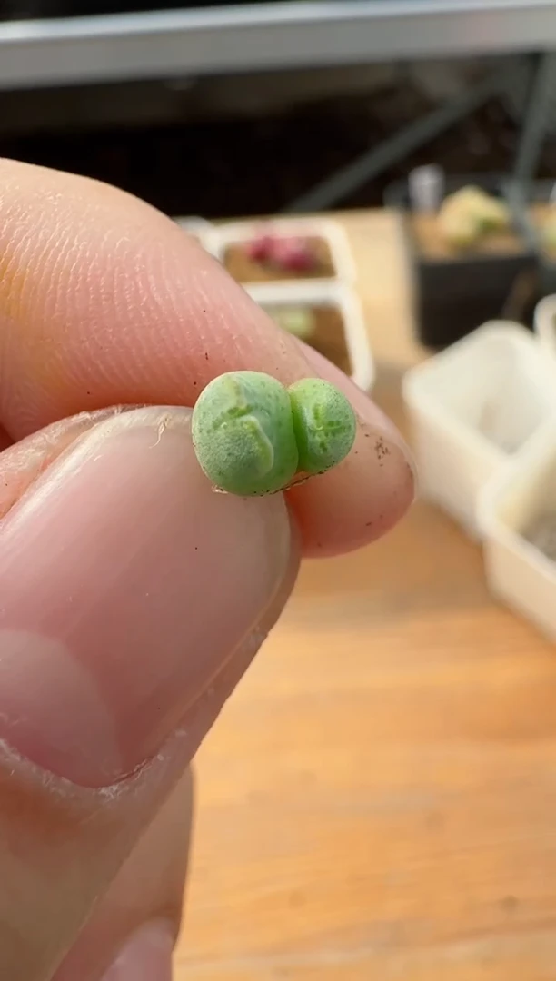 【闪购商品】17-8.