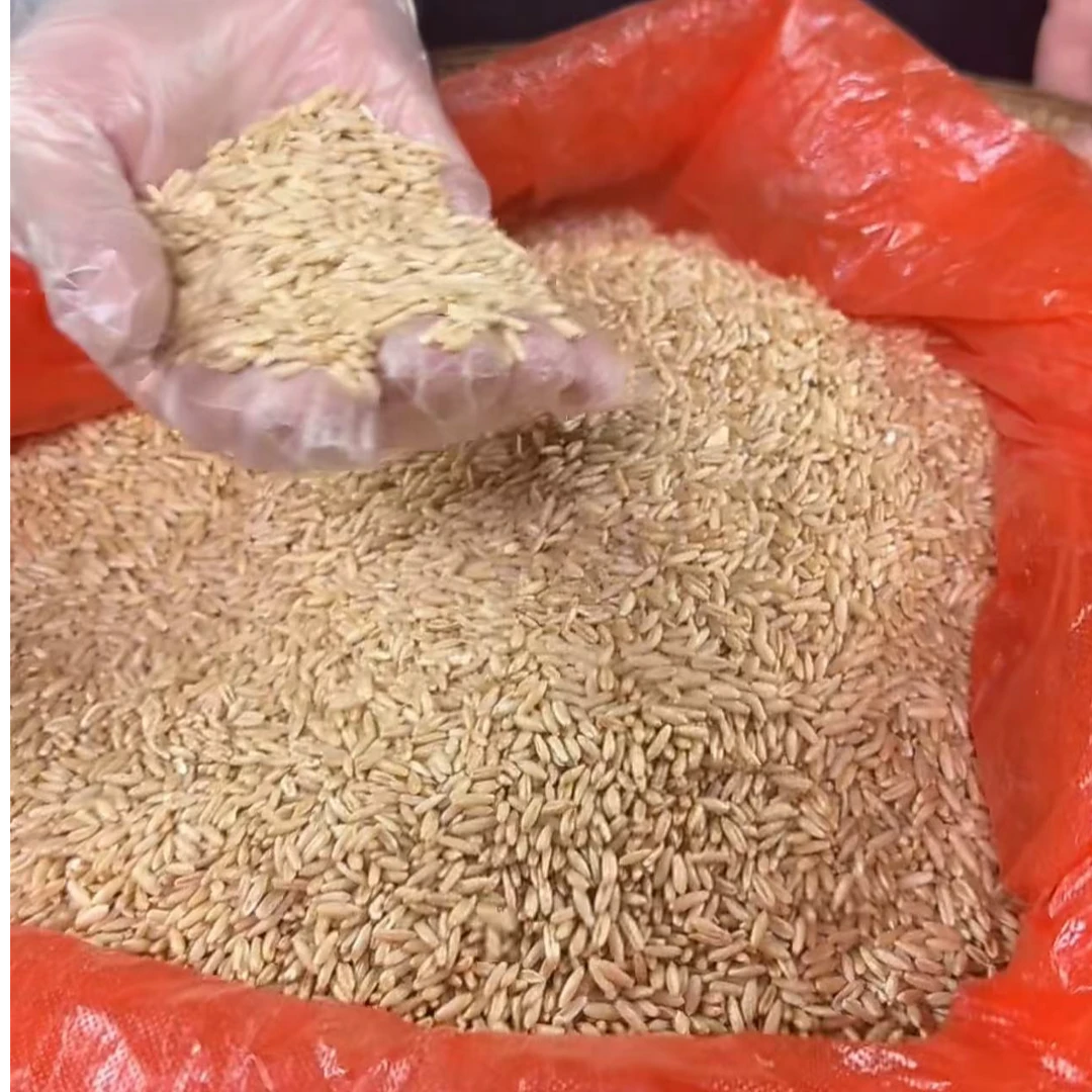 神农架老乡生燕麦米【阿凯代卖】