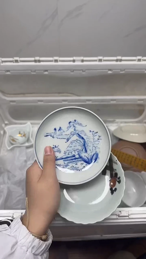 【闪购商品】869回流瓷器默认微瑕，18.8包邮