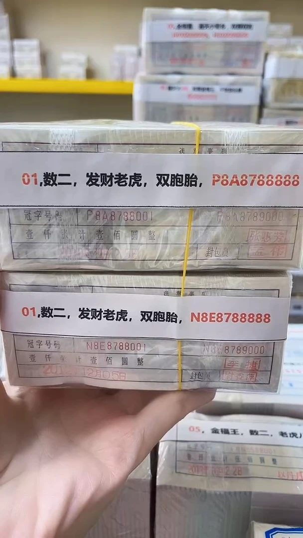 M 01,双胞胎，N8E8788888，P8A8788888