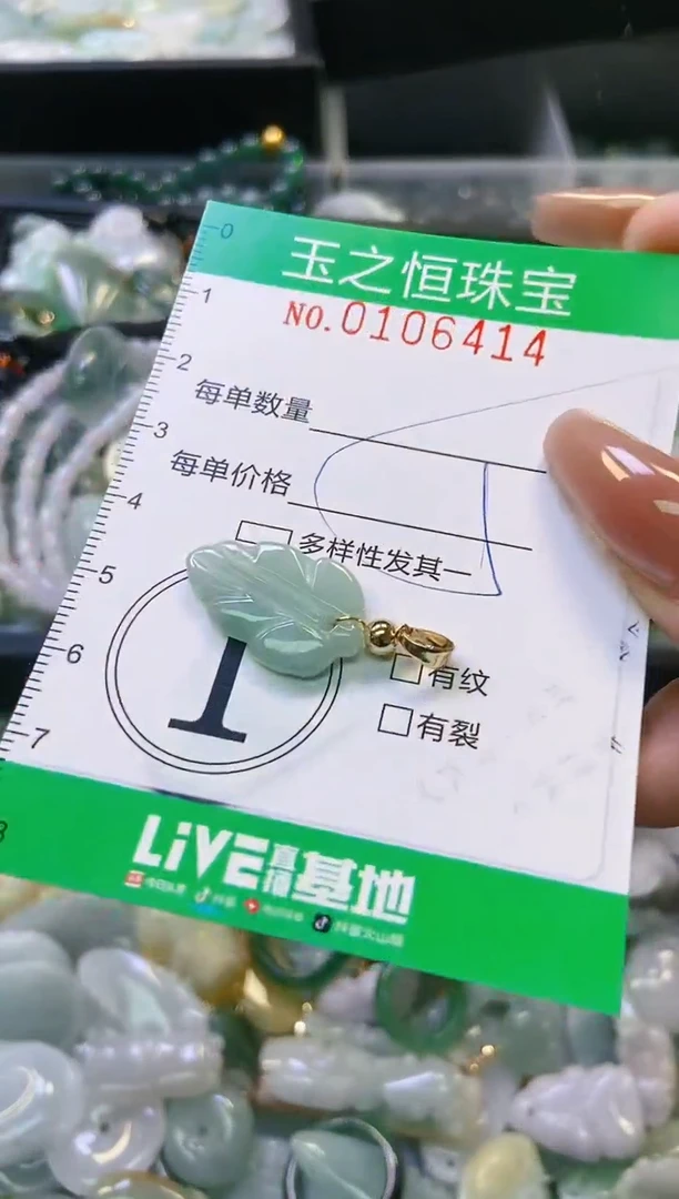 翡翠未镶嵌颈饰闪购0106414
