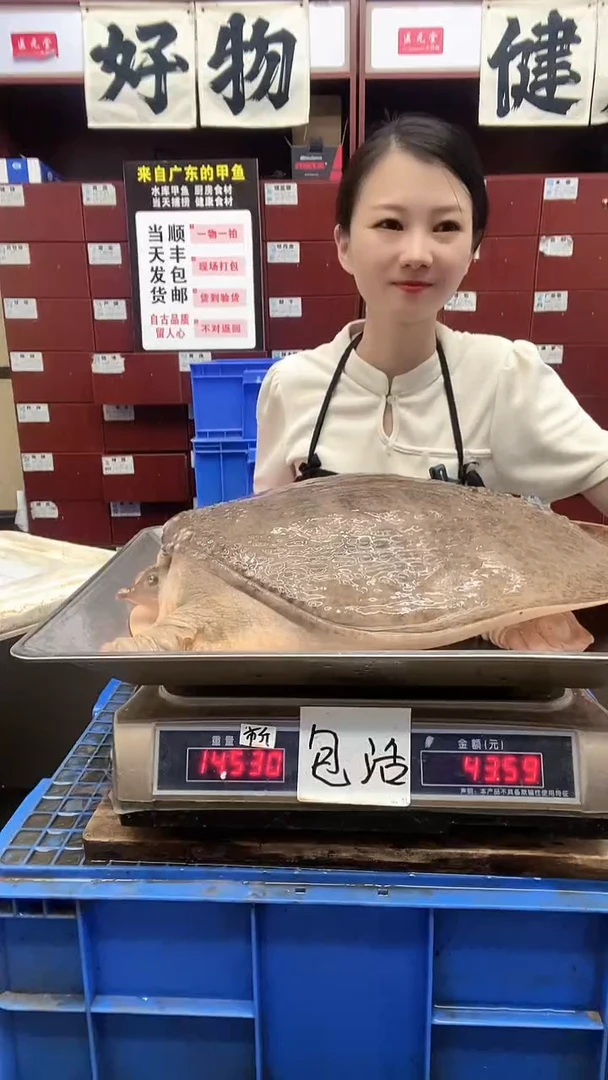 中国大陆称上这一只14.5斤