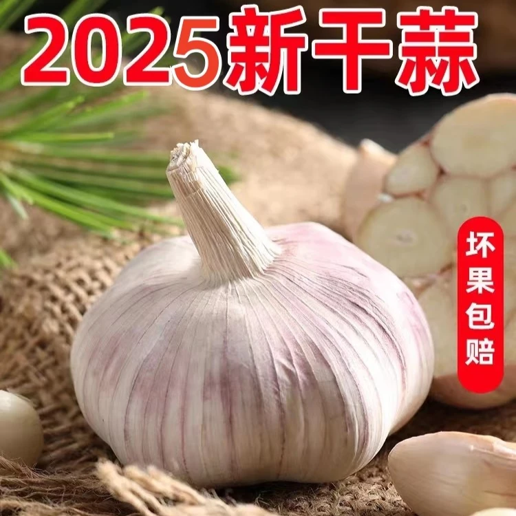【2025紫皮新干蒜8 9成干】河南大蒜干蒜大蒜头农家干大蒜蒜种