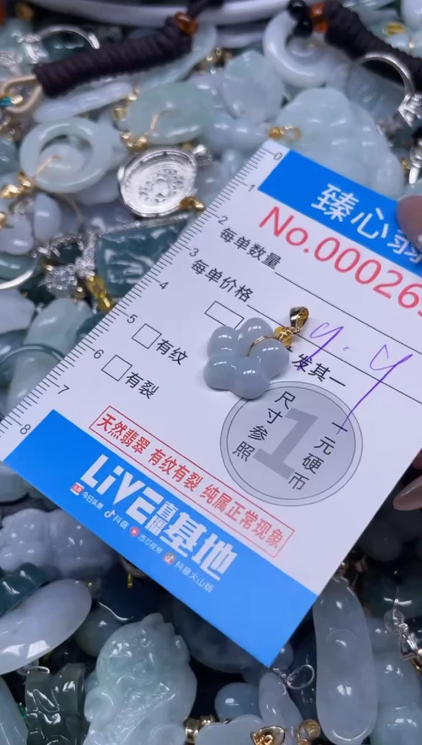 颈饰未镶嵌翡翠2630