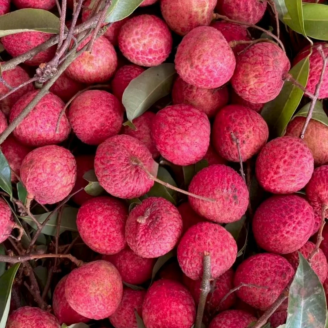 3/5斤【红花荔枝】很甜，脆爽多汁，皮薄肉厚，香甜浓厚