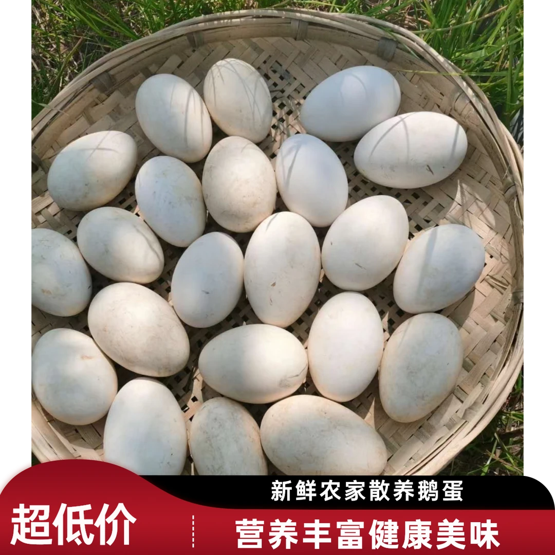 【破损包赔】 鹅蛋20枚装 现捡现发