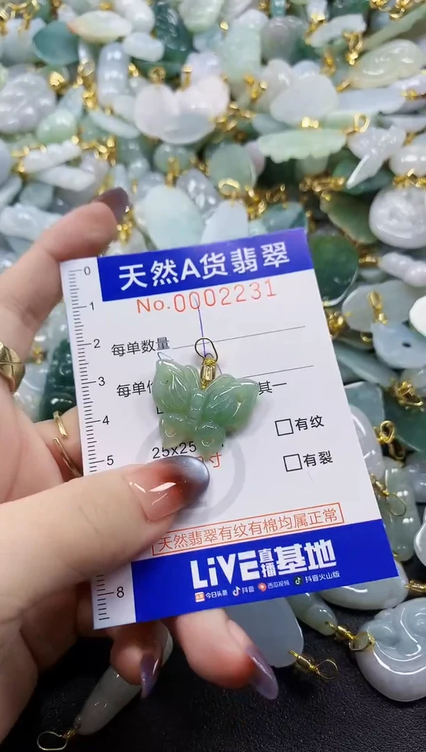 颈饰未镶嵌翡翠天然A货翡翠