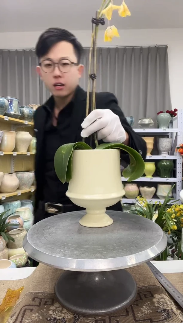 【1.4】花盆尺寸 高：17  口：11