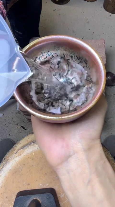 茶盏123333333333333333