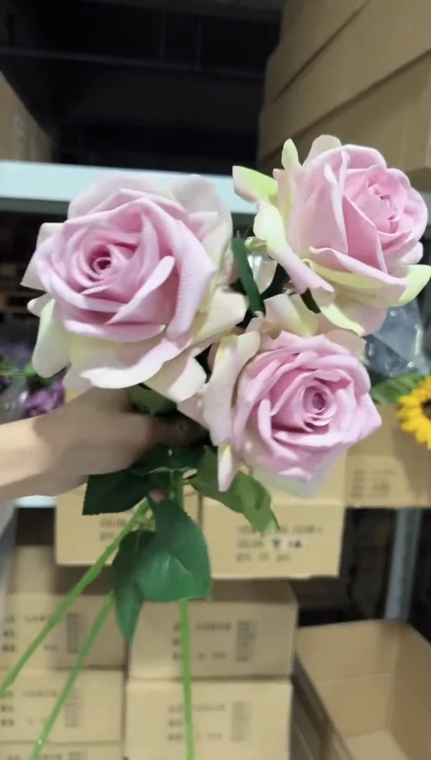 3枝紫绿色手感保湿卡尔玫瑰