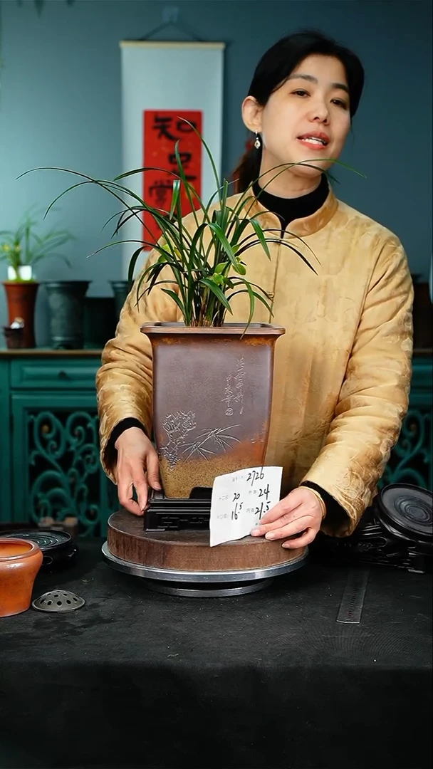 【闪购商品】紫砂花盆2726+s颜色机选
