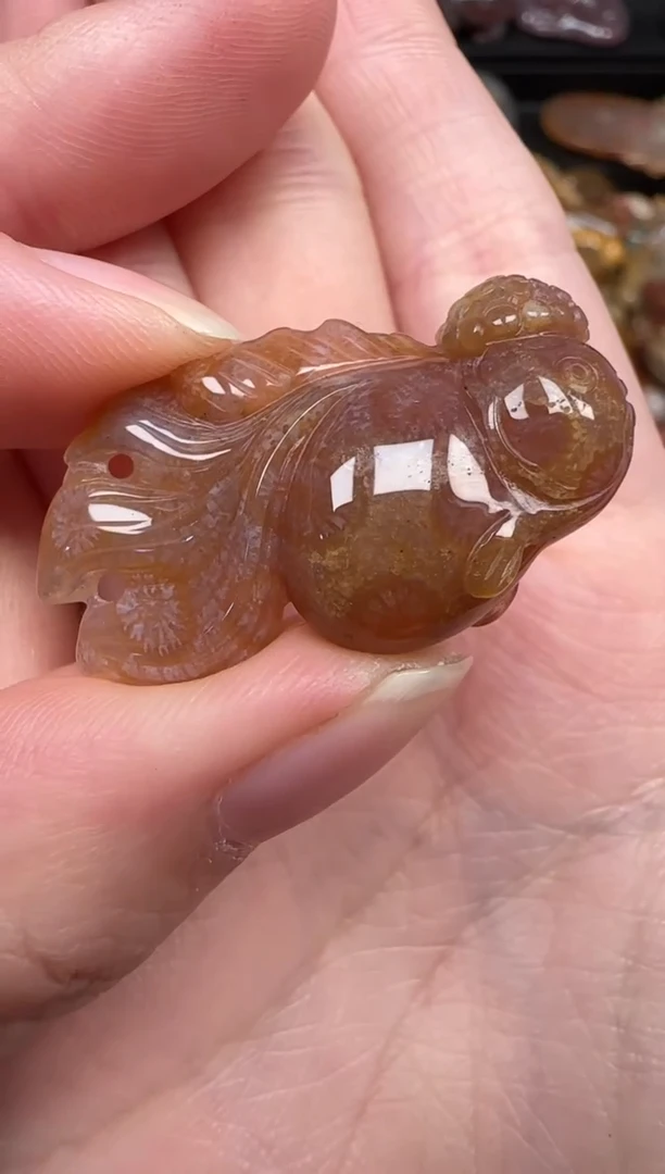 颈饰未镶嵌硅化珊瑚（珊瑚玉）389