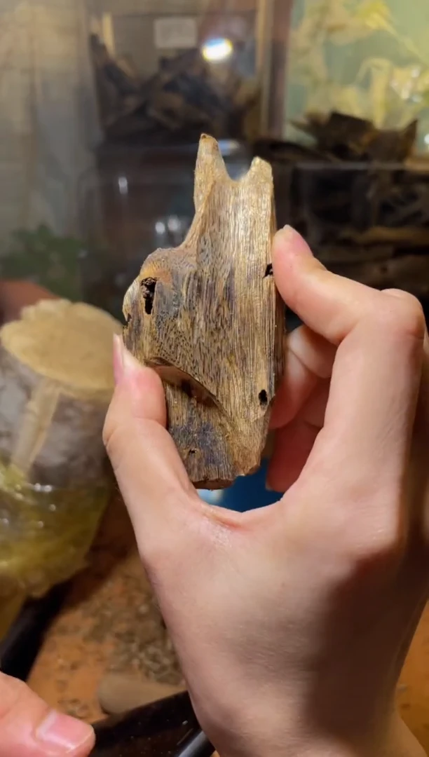 沉香沉香碎屑海南白棋57