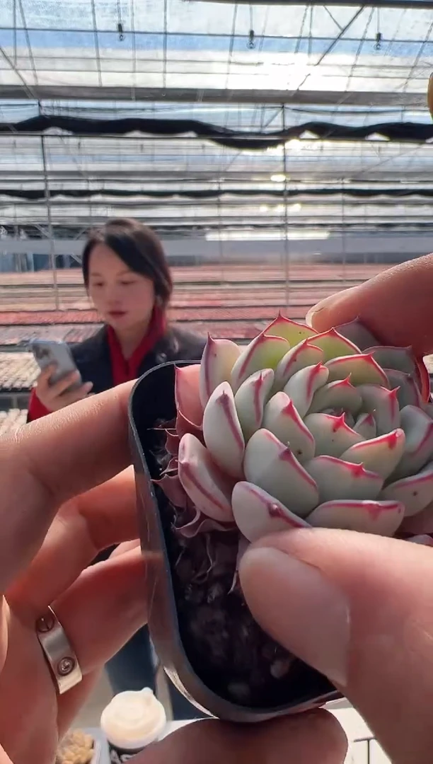 【闪购商品】童画-11