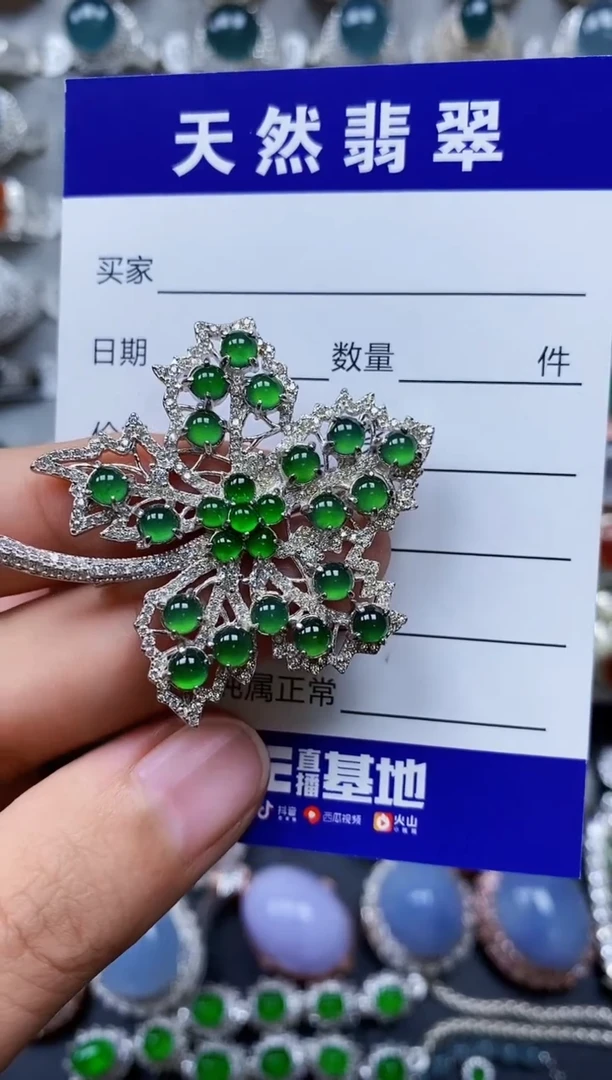 【闪购商品】翡翠颈饰银S925镶嵌0237