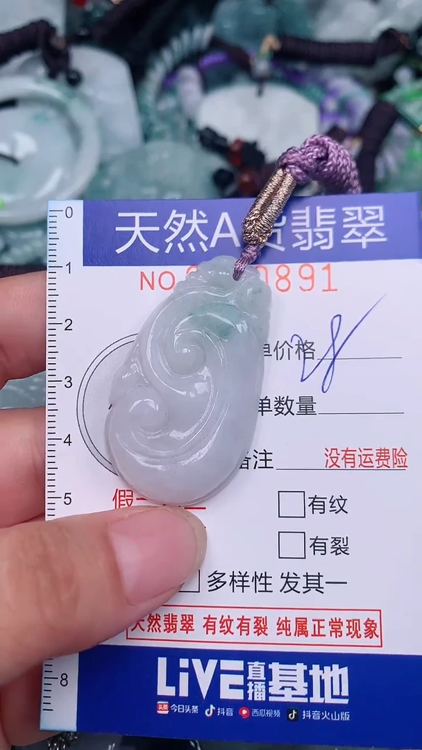 翡翠未镶嵌颈饰...0000891