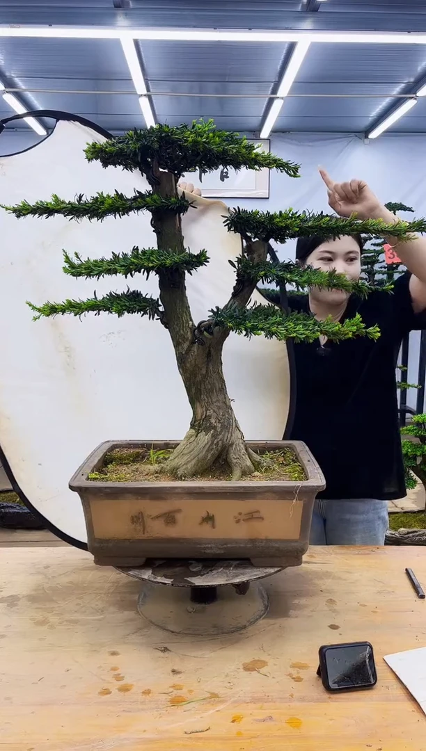 无花朵一物一拍，所见即所得