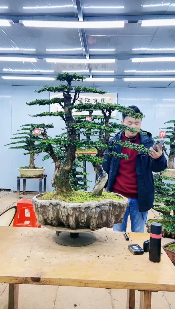 财*000000000000000000000