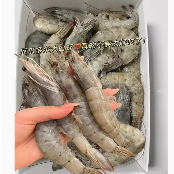 冻品 厄瓜多尔大白虾南美白虾30-40冻虾500G