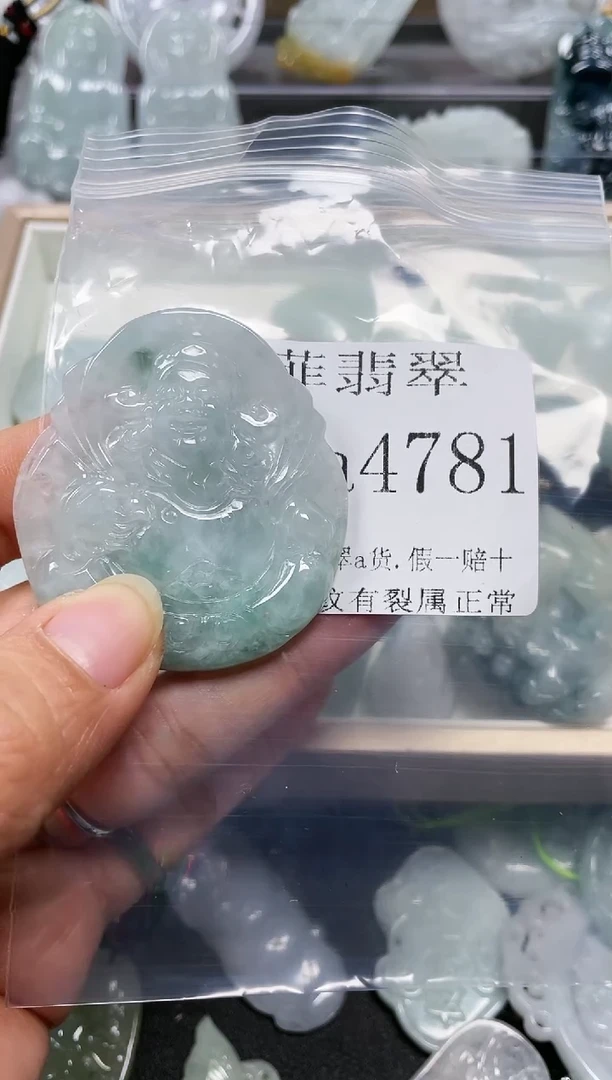 【闪购商品】翡翠颈饰未镶嵌闪购4781