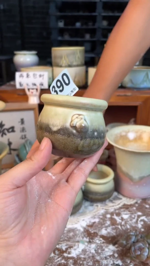 瓷片390知木小芳花盆直播编号