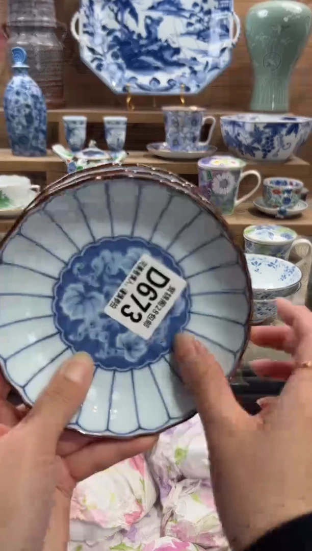 瓷片糯*       D673