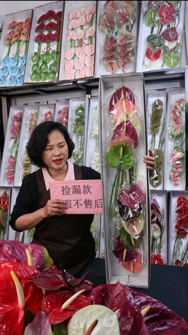 完全开放204混色12枝(枝长30-40cm，横冠幅10-12cm)微瑕无售后