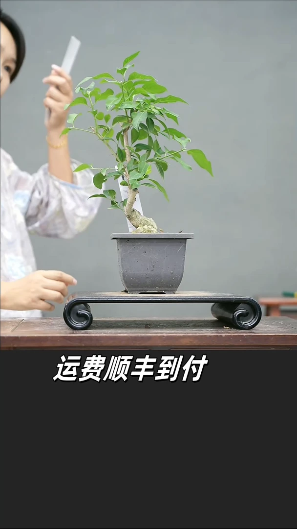 用****317
