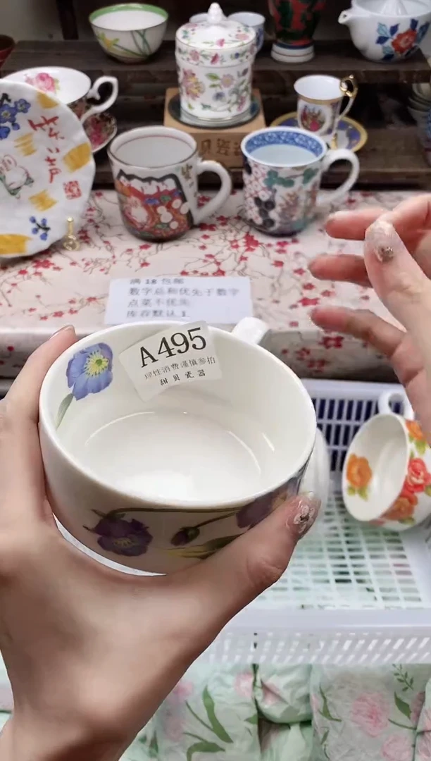 瓷片澧*兰                A495