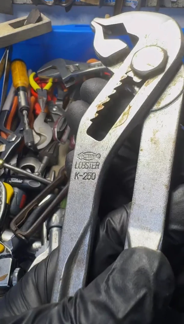 用****6闪购定向链接付款